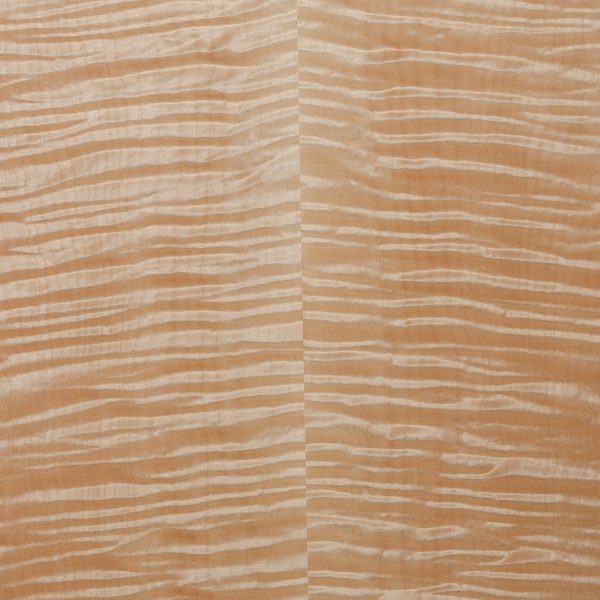 Ormsby Guitars Tonewood flame maple